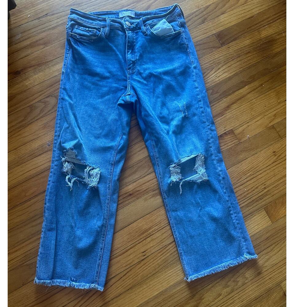 Lovervet by Vervet High-Rise Wide-Leg Jeans Distressed Raw Hem Size 14W